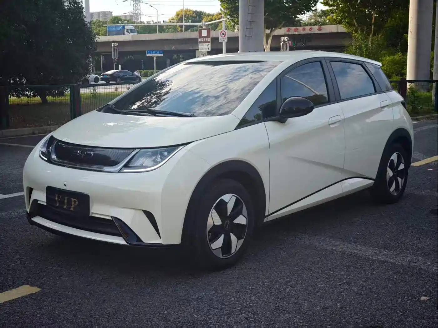 BYD Dolphin 2025 Smart Drive Edition 420km Freedom Version