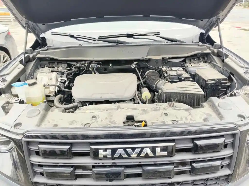 Фото 9 - Haval Dargo