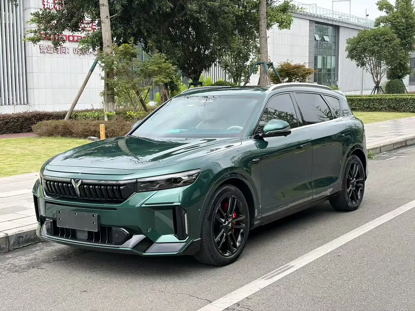 Voyah Auto VOYAH FREE 2024 Ultra Long Range Intelligent Driving Edition