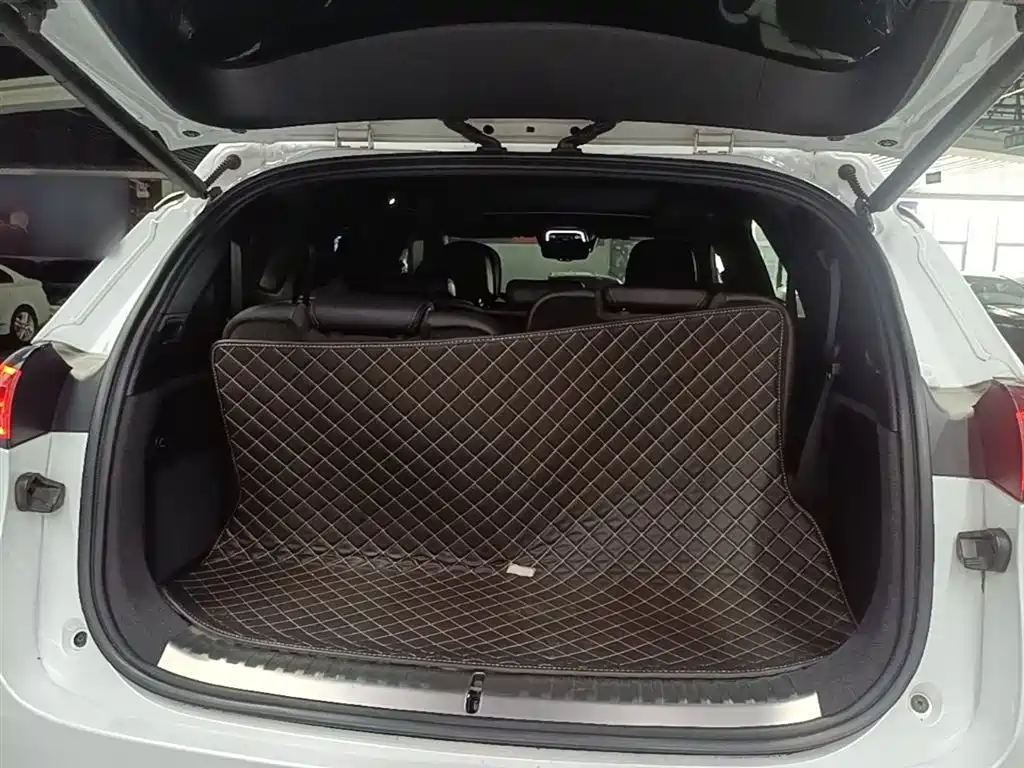 Denza X 2020 Model PHEV Flagship Edition фото 19