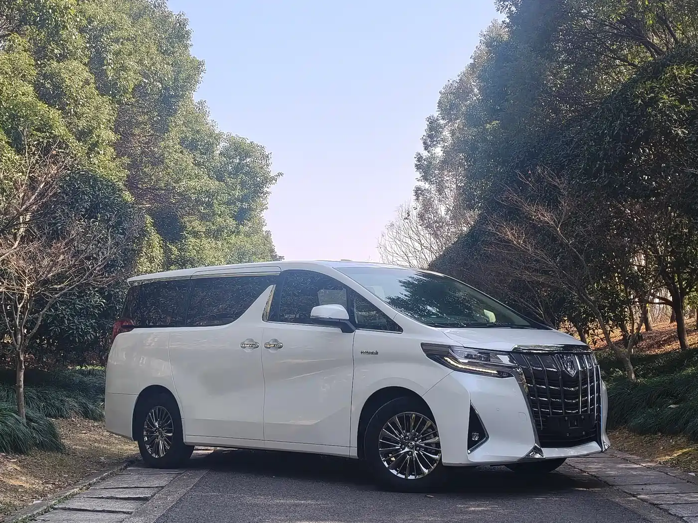 Toyota Alphard 2021 Hybrid 2.5L Luxury фото 2