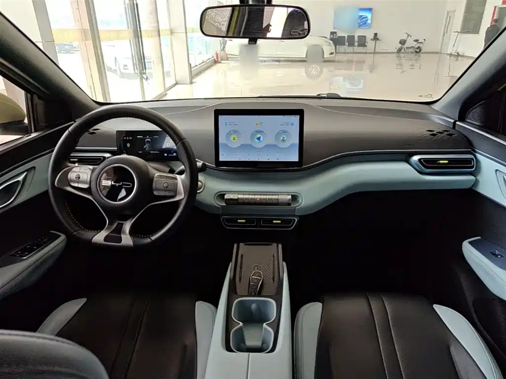BYD Seagull 2024 Glory Edition 305km Vitality Edition фото 10