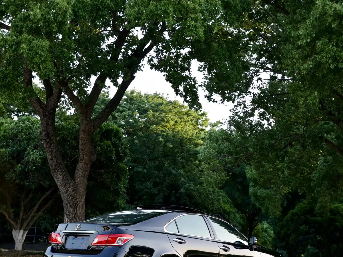 Lexus ES 2010 350 Luxury Edition фото 6