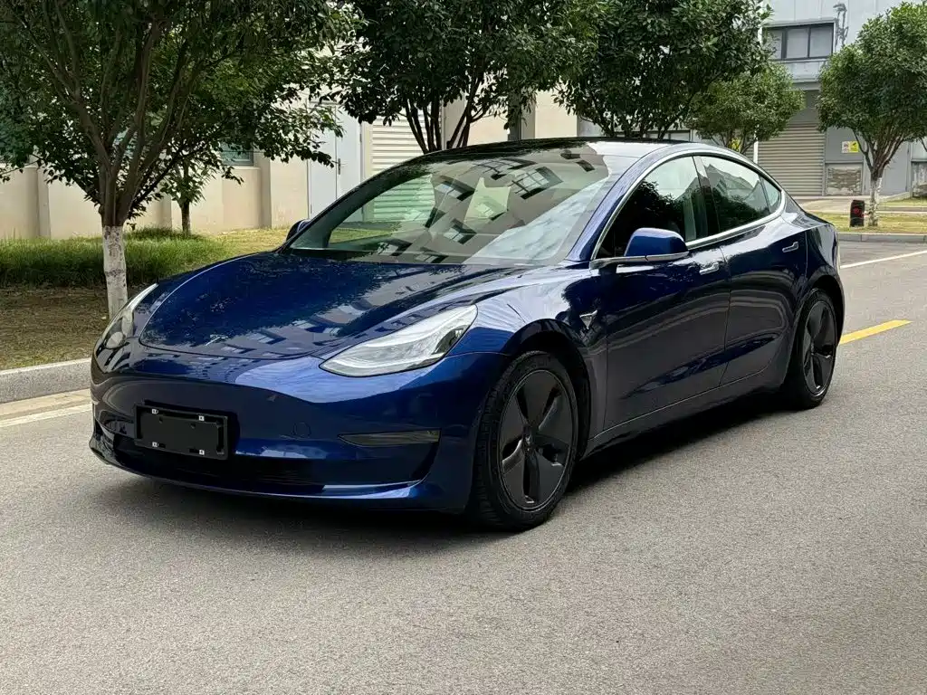 Tesla Model 3 (Import) 2019 Long Range All-Wheel Drive Edition