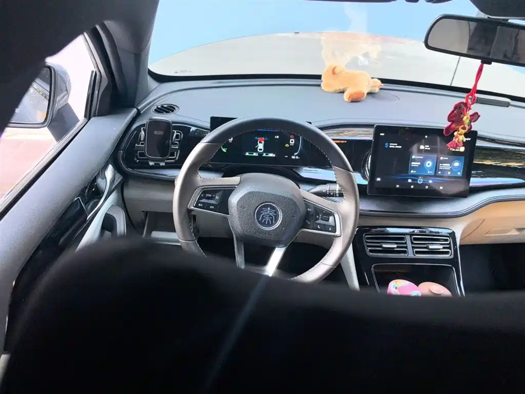 BYD Qin PLUS 2024 Glory Edition DM-i 55KM Leading фото 6