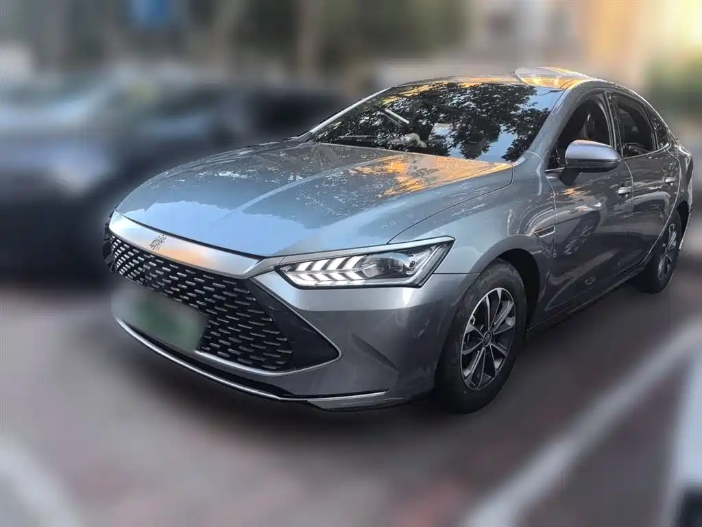 BYD Qin PLUS 2024 Glory Edition DM-i 55KM Leading