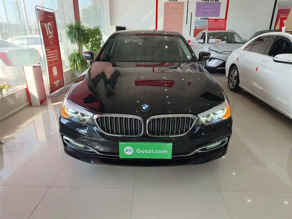 BMW 5 Series 2019 530Li xDrive Luxury Package фото 3