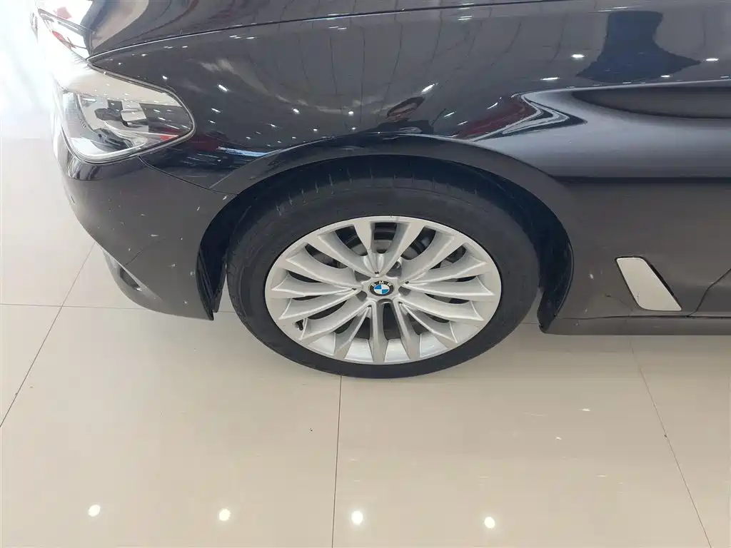 BMW 5 Series 2019 530Li xDrive Luxury Package фото 25