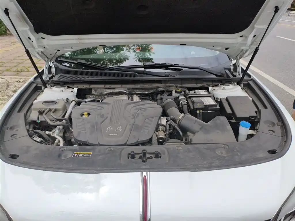 Hongqi H5 2024 2.0T Automatic Smart Connect Flag Smooth Edition фото 16