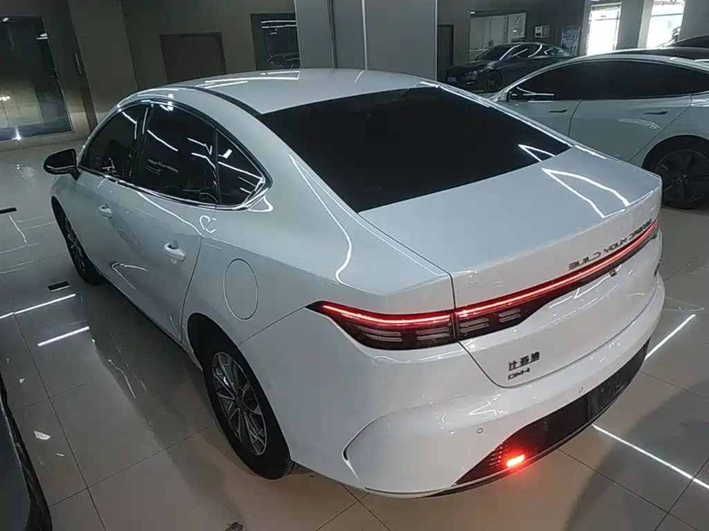 BYD Destroyer 05 2024 Glory Edition DM-i 55KM Luxury фото 5