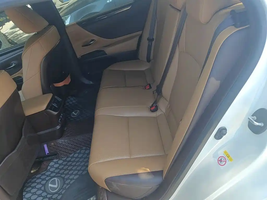 Lexus ES 2018 200 Excellence Edition China V фото 13