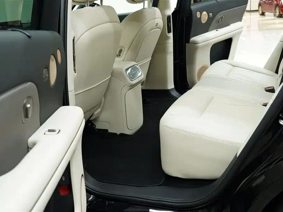 Voyah Auto VOYAH Zhuiguang L 2025 2025 Mid-configuration Model