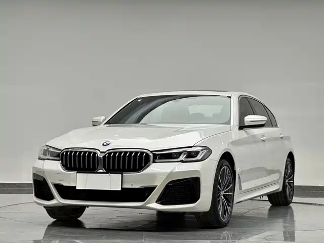 BMW 5 Series 2023 530Li Leading M Sport Package — фото 1