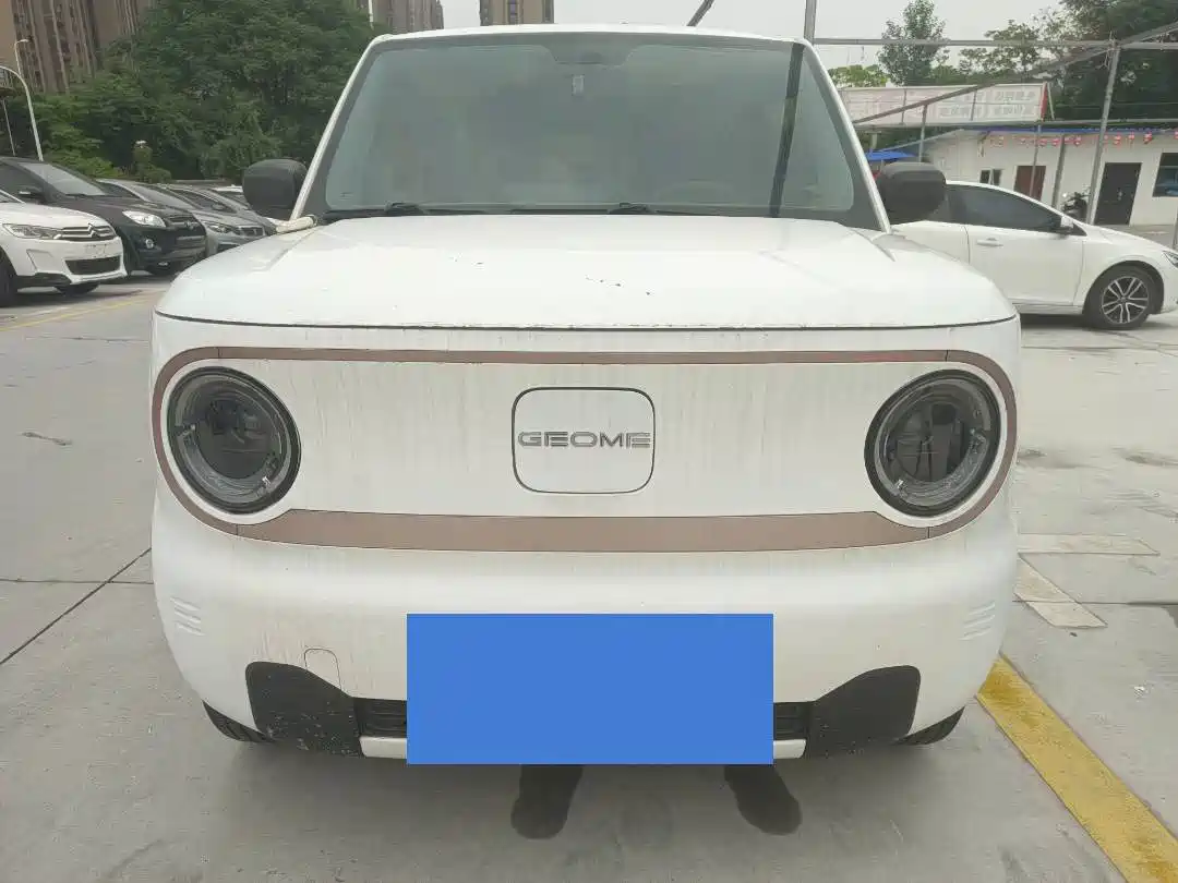 Geely Galaxy Panda 2023 Panda Mini 200km Endurance Bear