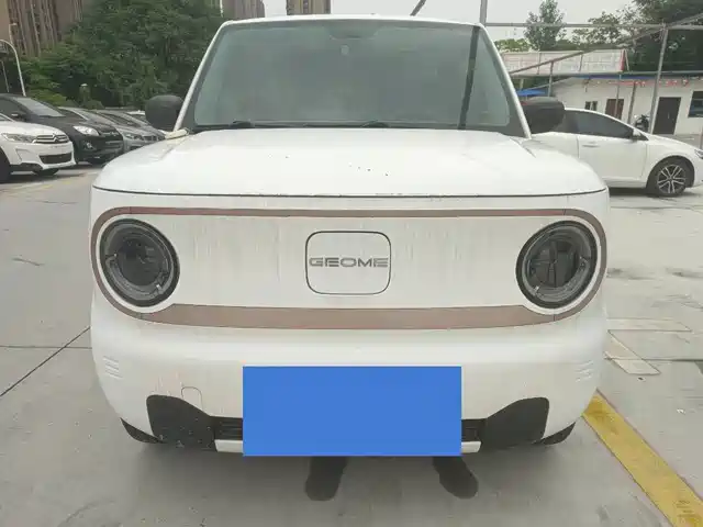 Geely Galaxy Panda 2023 Panda Mini 200km Endurance Bear