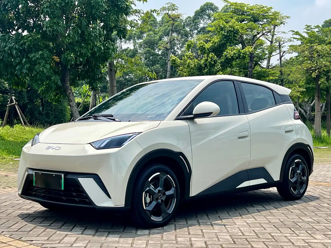 BYD Seagull 2024 Glory Edition 305km Freedom Edition