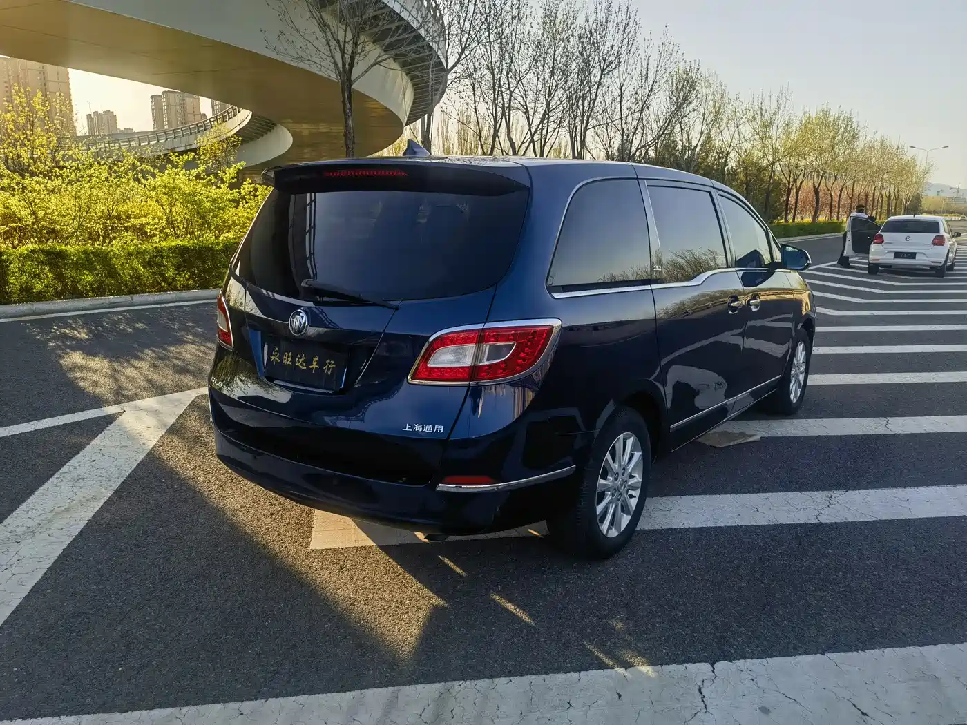 Buick GL8 2011 3.0L GT Luxury Business Elegance Edition фото 6