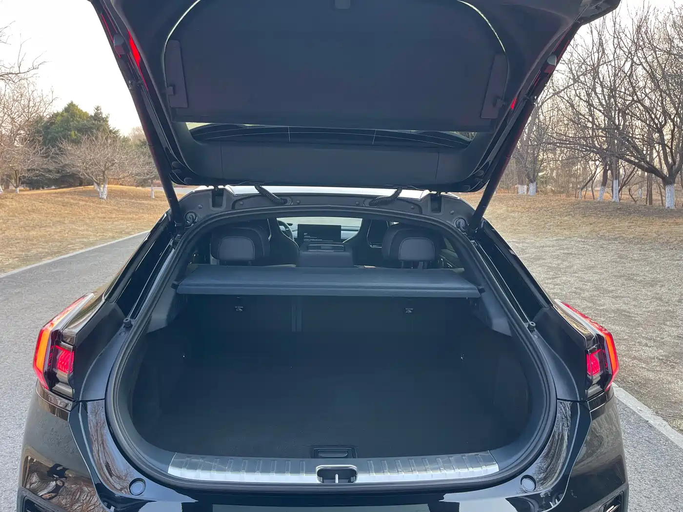 ZEEKR EXTREME KRYPTON 001