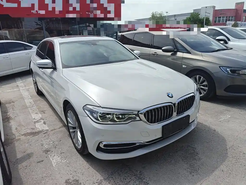 BMW 5 Series 2020 530Li xDrive Luxury Package фото 4