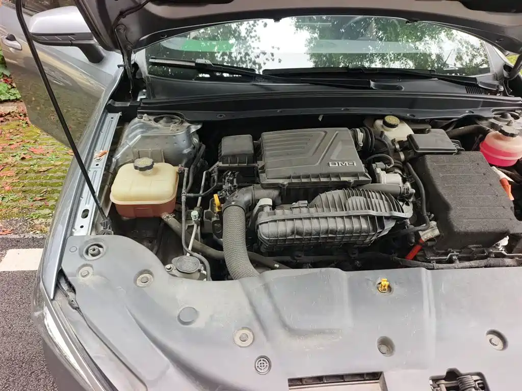 BYD Qin PLUS 2021 DM-i 55KM Flagship фото 23