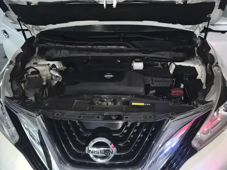 Nissan Murano 2019 2019 2.5L XL 2WD Smart Connect Luxury Edition (China VI)