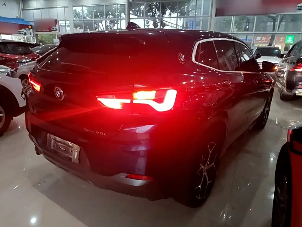 BMW X2 (Import) 2019 2019 sDrive20i M Off-Road Package China VI