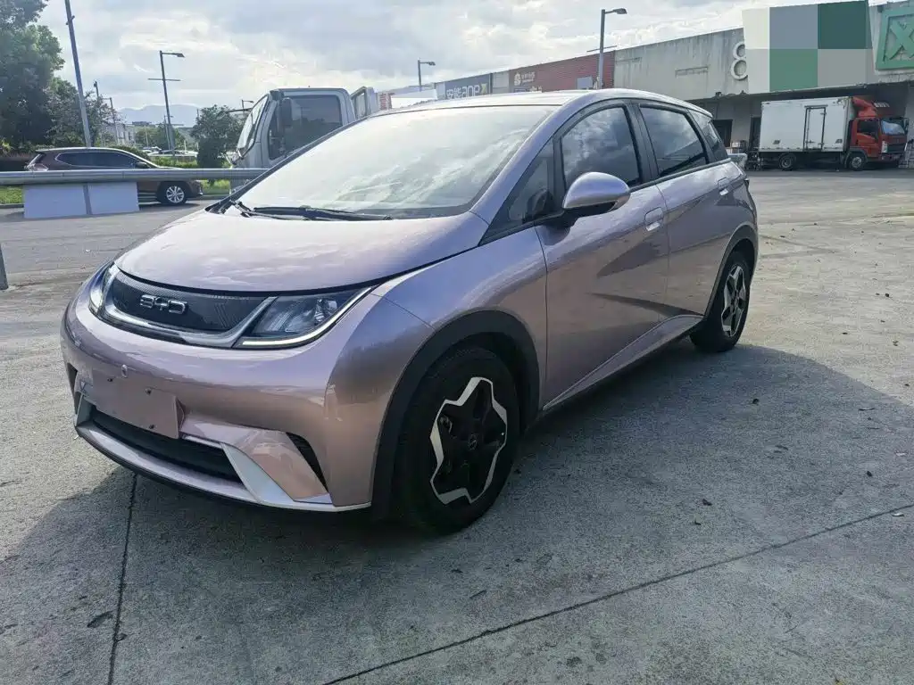 BYD Dolphin 2021 Model 405km Fashion Edition