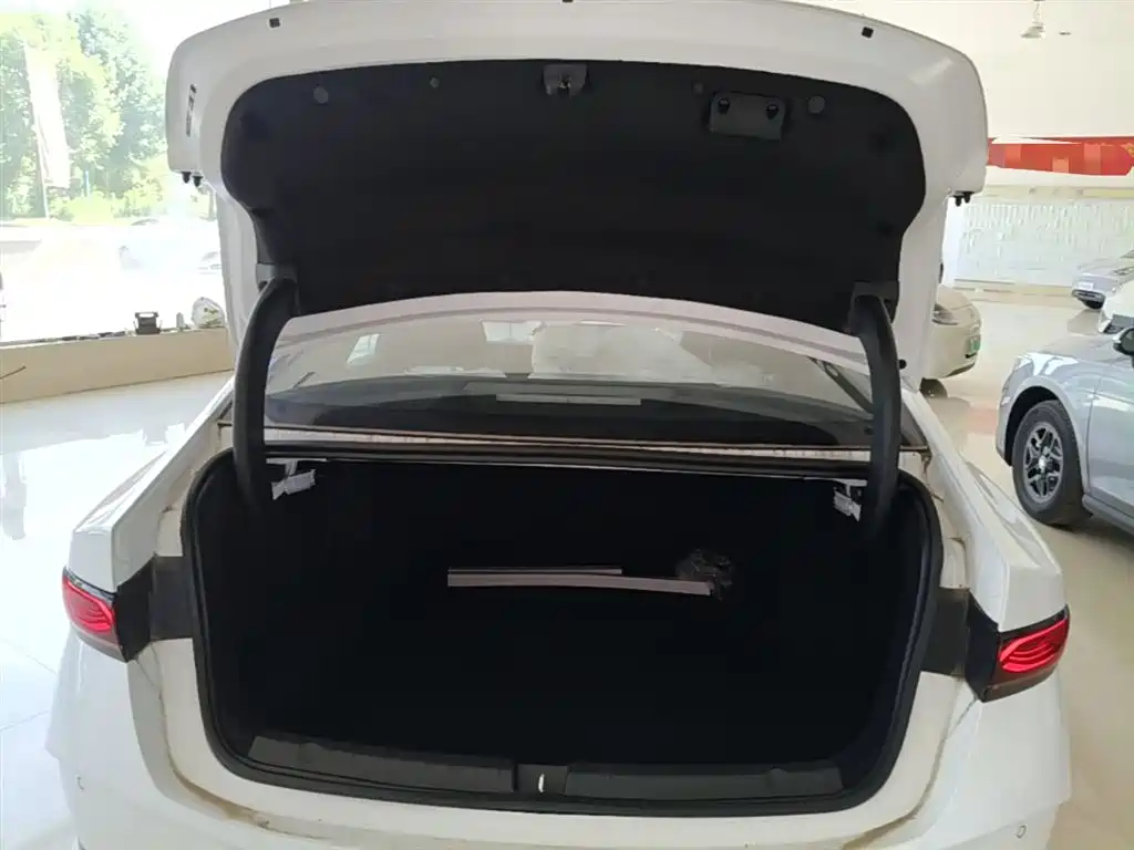 BYD Qin PLUS 2026 DM-i Smart Edition 128KM Progressive фото 19