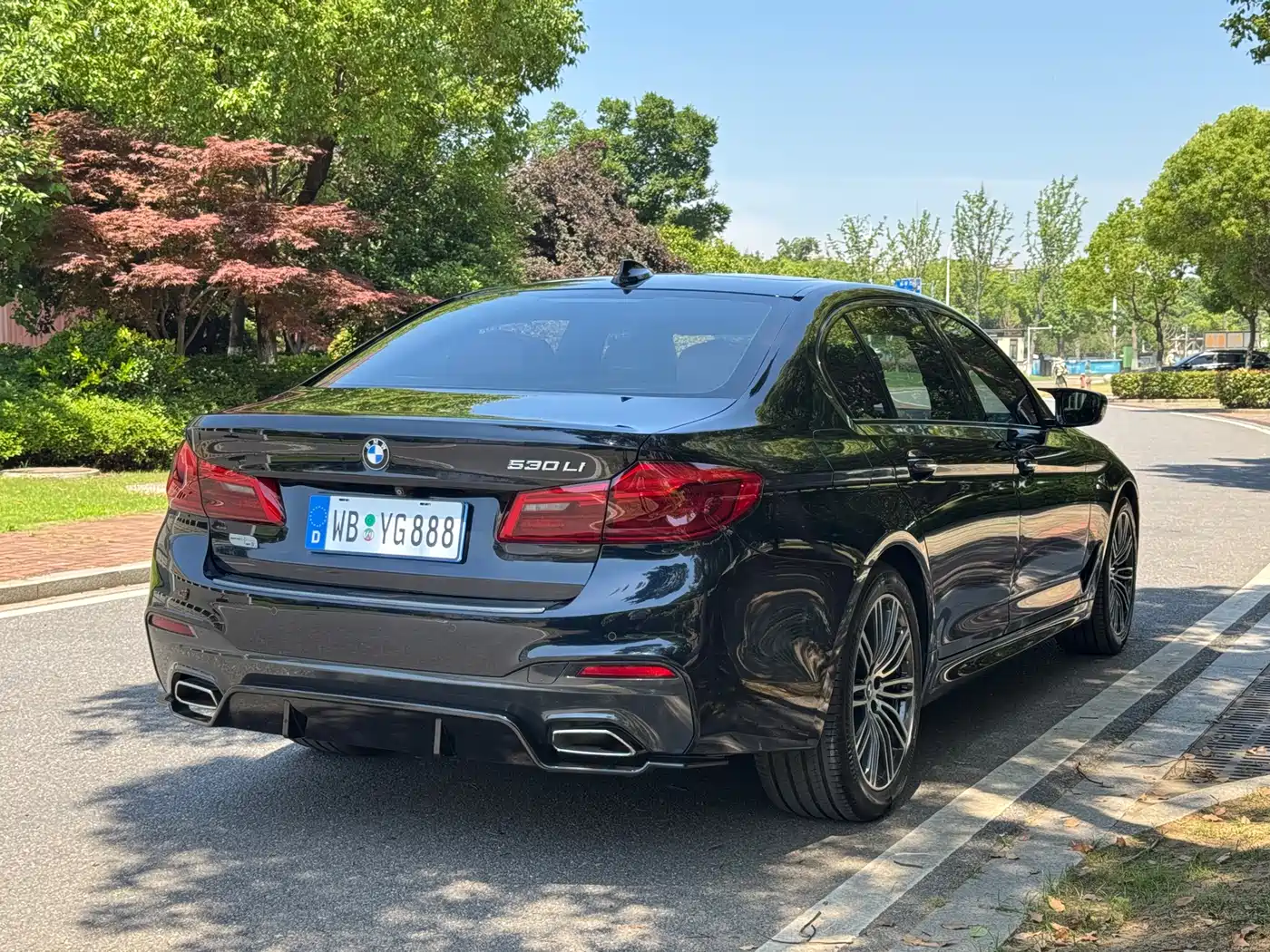 BMW 5 Series 2018 530Li Leading M Sport Package фото 6