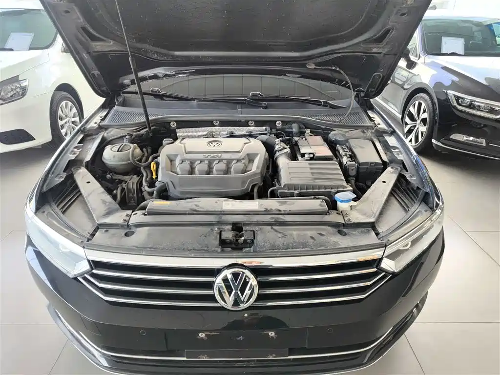 Volkswagen Magotan 2019 330TSI DSG Luxury Class China VI фото 16