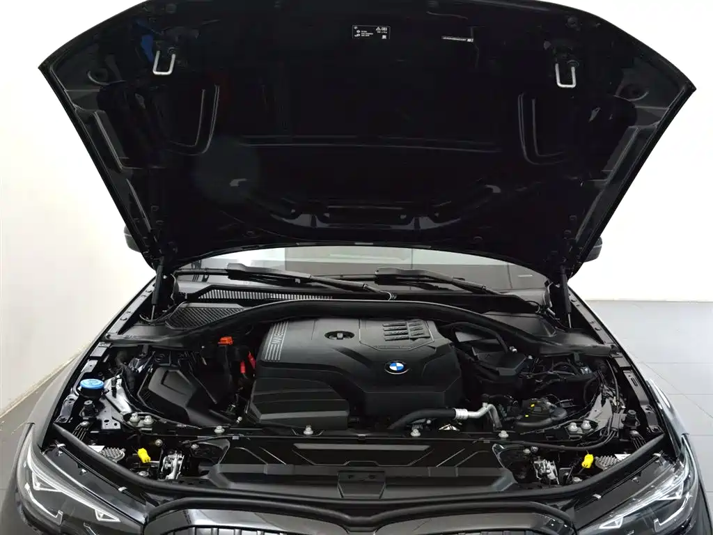 BMW 3 Series 2021 325Li M Sport Package фото 7