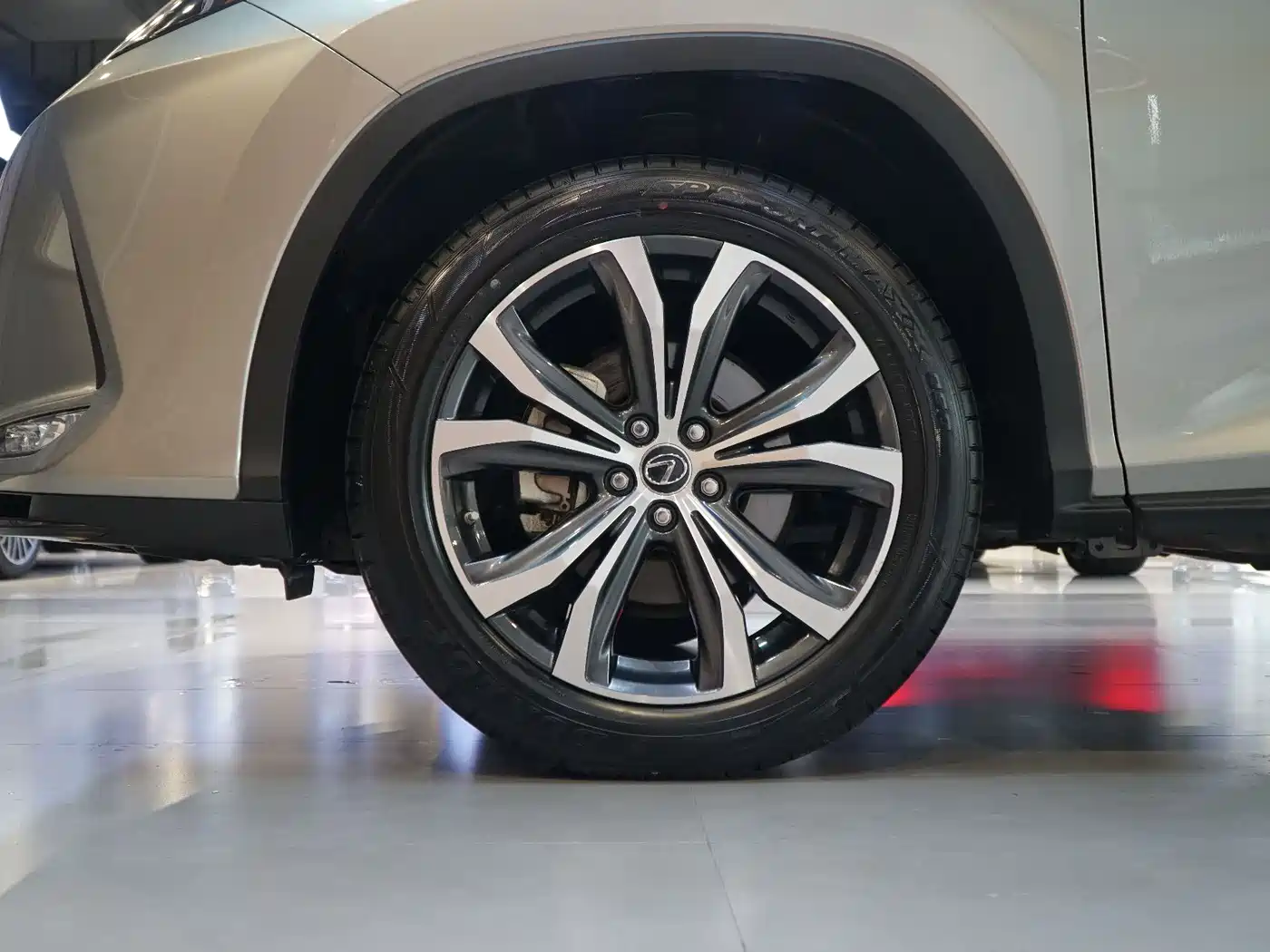Lexus RX 2021 300 AWD Special Edition фото 21