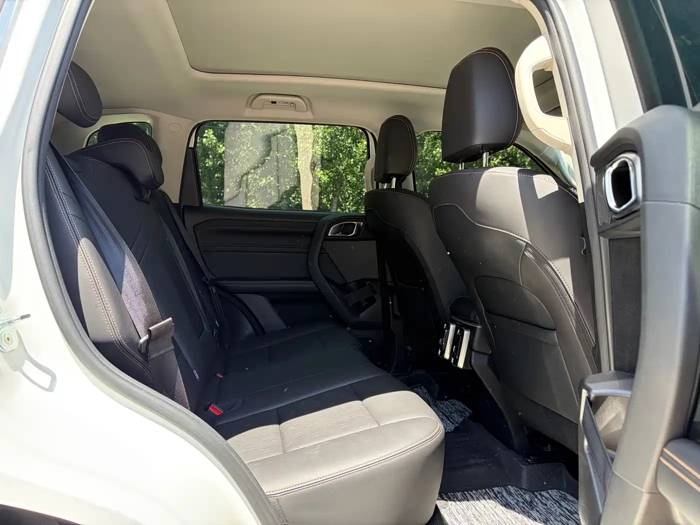 Haval Big Dog 2024 2.0T DCT Chinese Rural Dog Edition фото 13