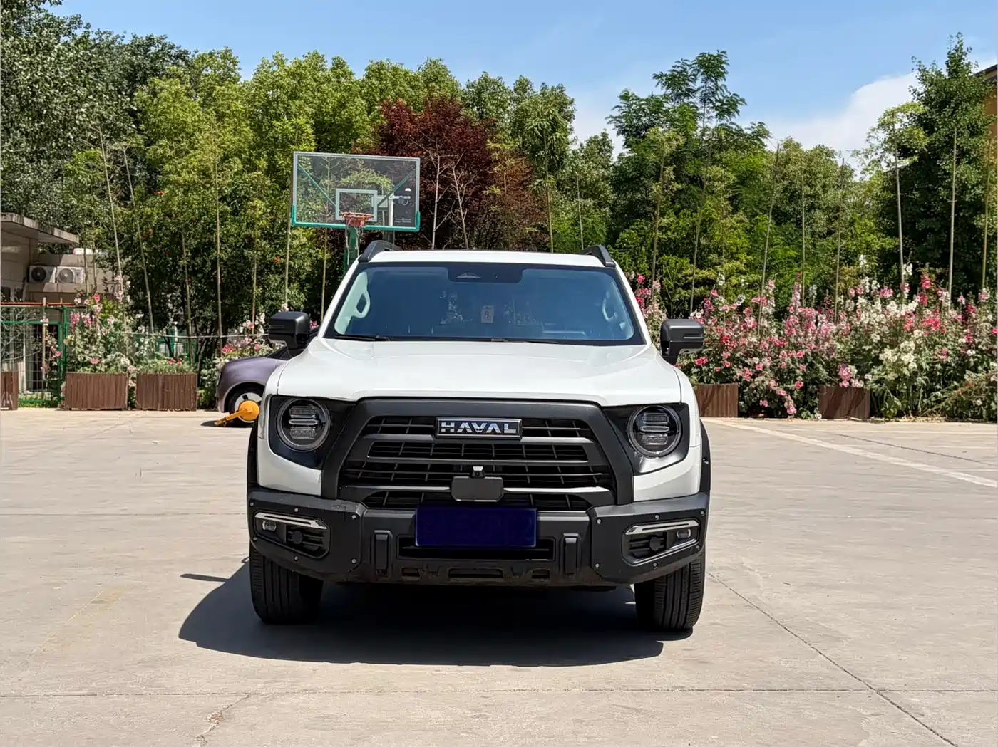 Haval Big Dog 2024 2.0T DCT Chinese Rural Dog Edition фото 2
