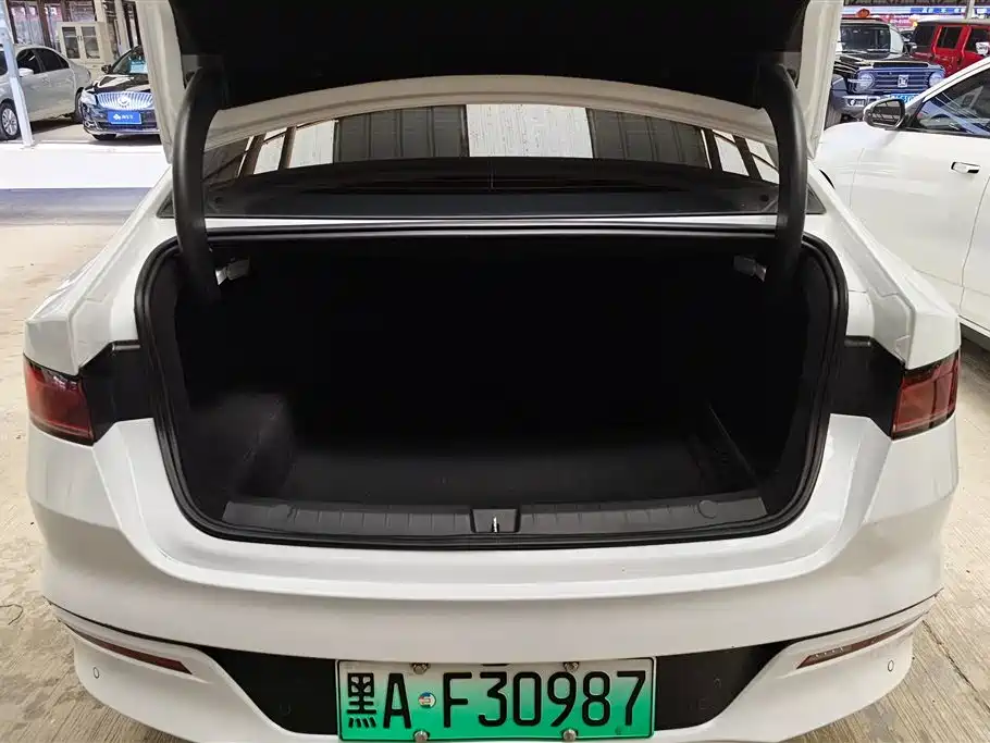 BYD Qin PLUS 2024 Glory Edition DM-i 55KM Leading фото 4