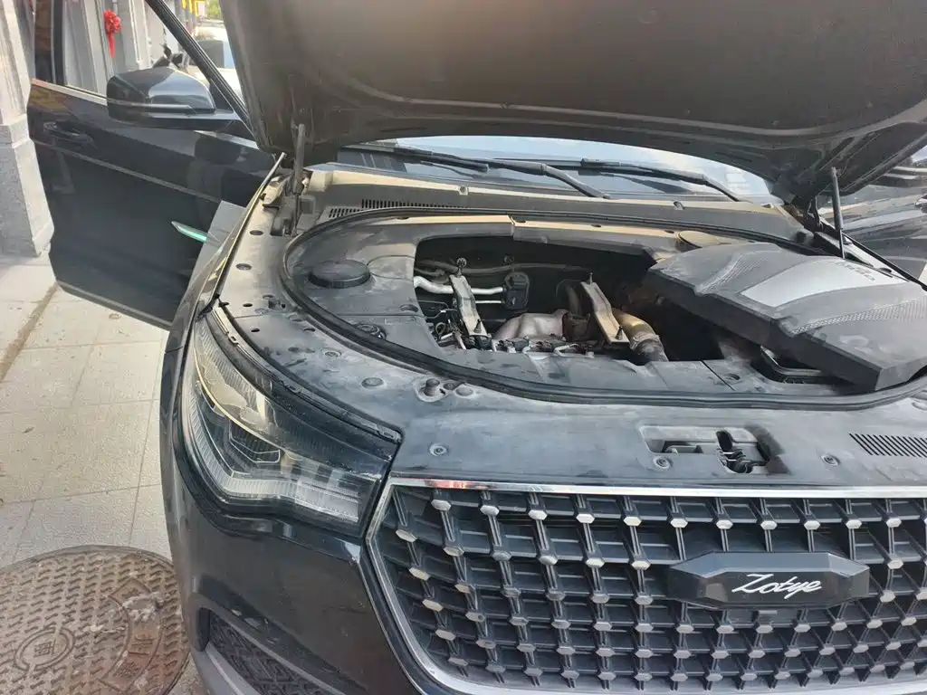 Фото 23 - Zotye T700