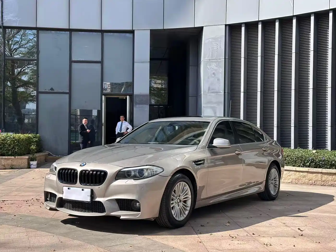 BMW 5 Series 2013 525Li Leadership