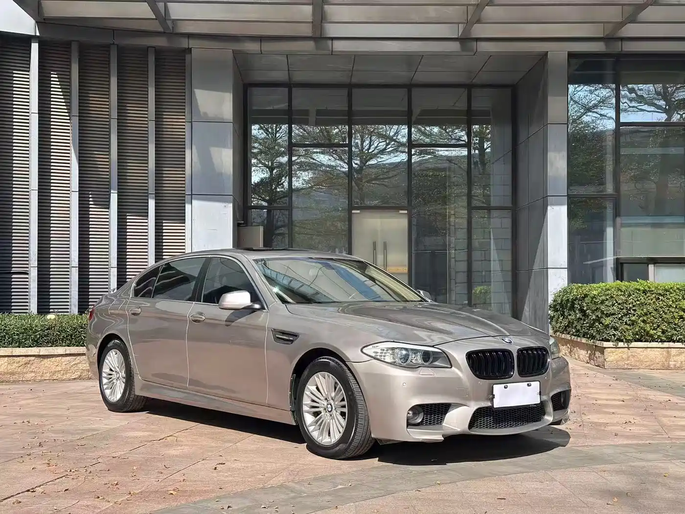BMW 5 Series 2013 525Li Leadership фото 3
