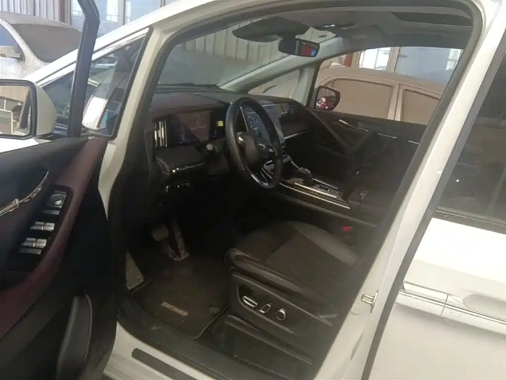 GAC Trumpchi Trumpchi M8 2024 Master Series Super Hybrid фото 23