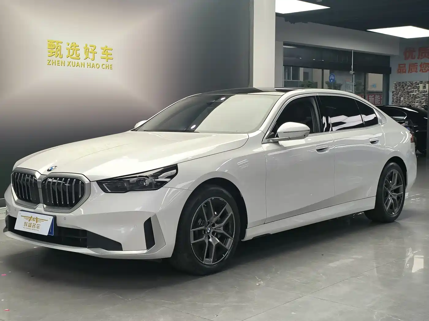 BMW 5 Series 2025 530Li Leading Luxury Package