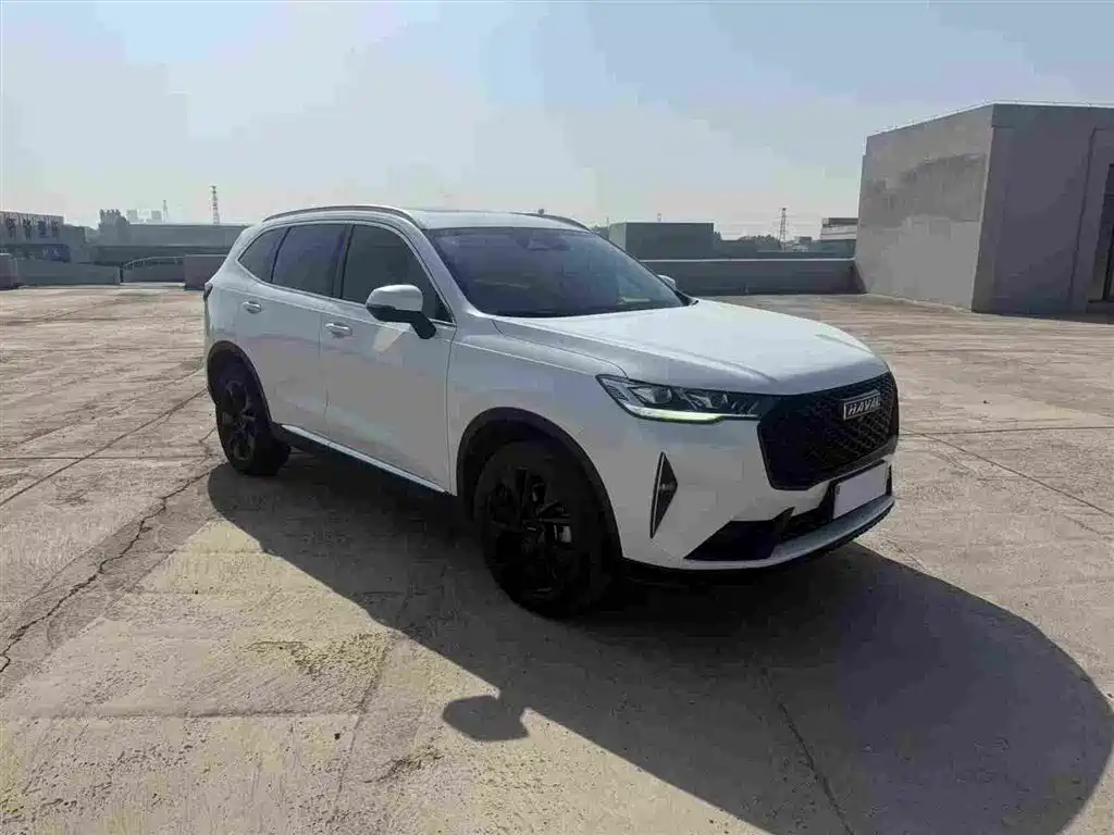Haval H6 2021 3rd Generation 2.0T Auto AWD Max фото 3