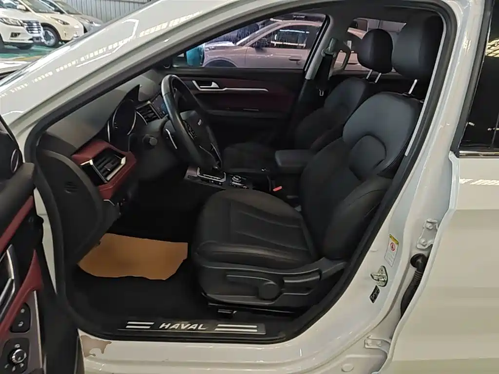 Haval H6 Coupe 2018 Red Label 1.5T Auto 2WD Luxury Edition фото 16