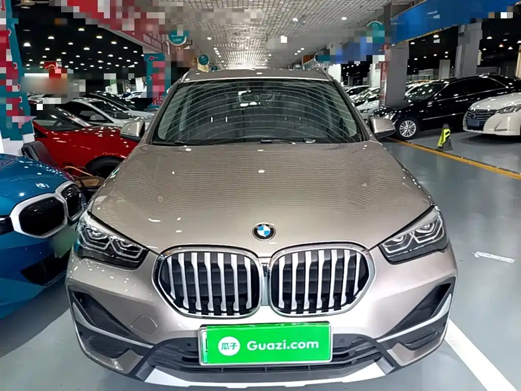 BMW X1 New Energy 2020 xDrive30Le Premium Edition фото 3