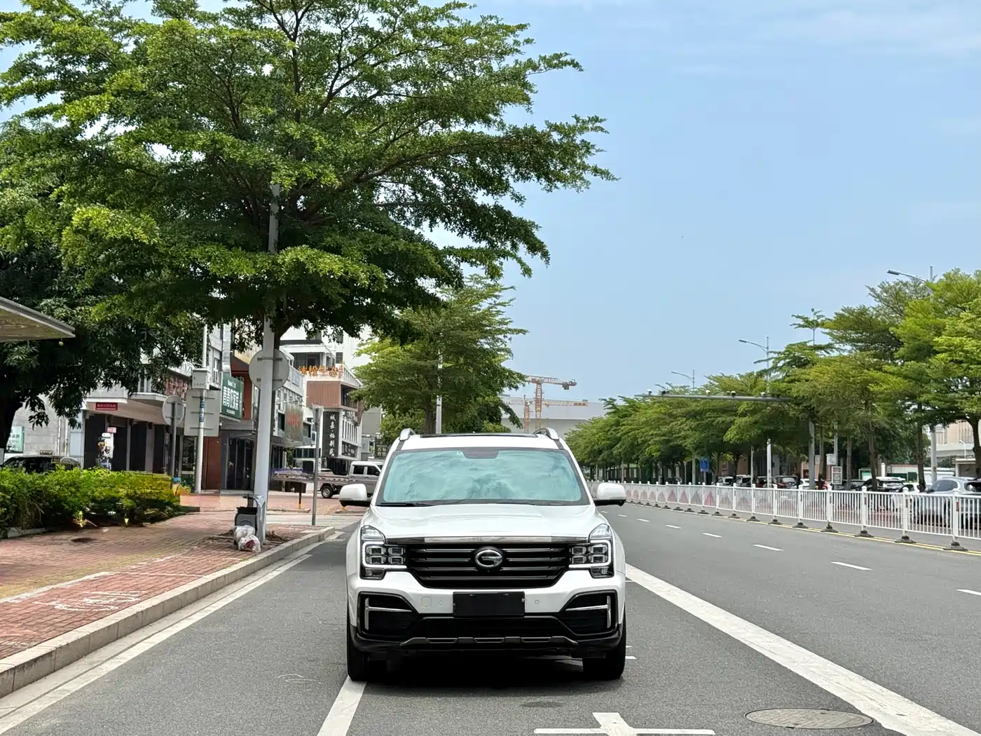 GAC Trumpchi Trumpchi GS8 2020 390T 2WD Luxury Smart Connect Anniversary Edition (7-Seater) фото 2