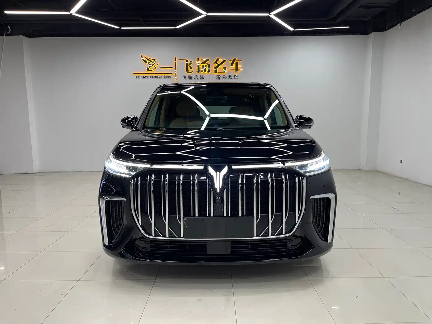 Voyah Auto Voyah Dreamer 2022 Low Carbon Edition Home фото 2