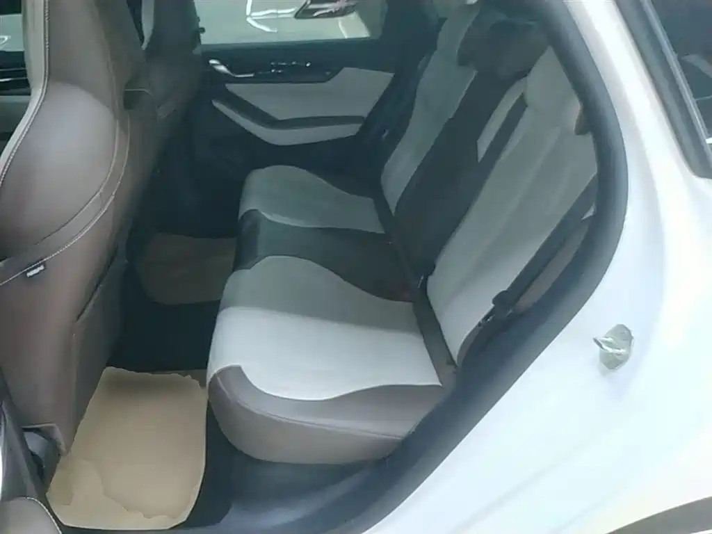 BYD Qin PLUS 2024 Glory Edition DM-i 55KM Leading фото 17