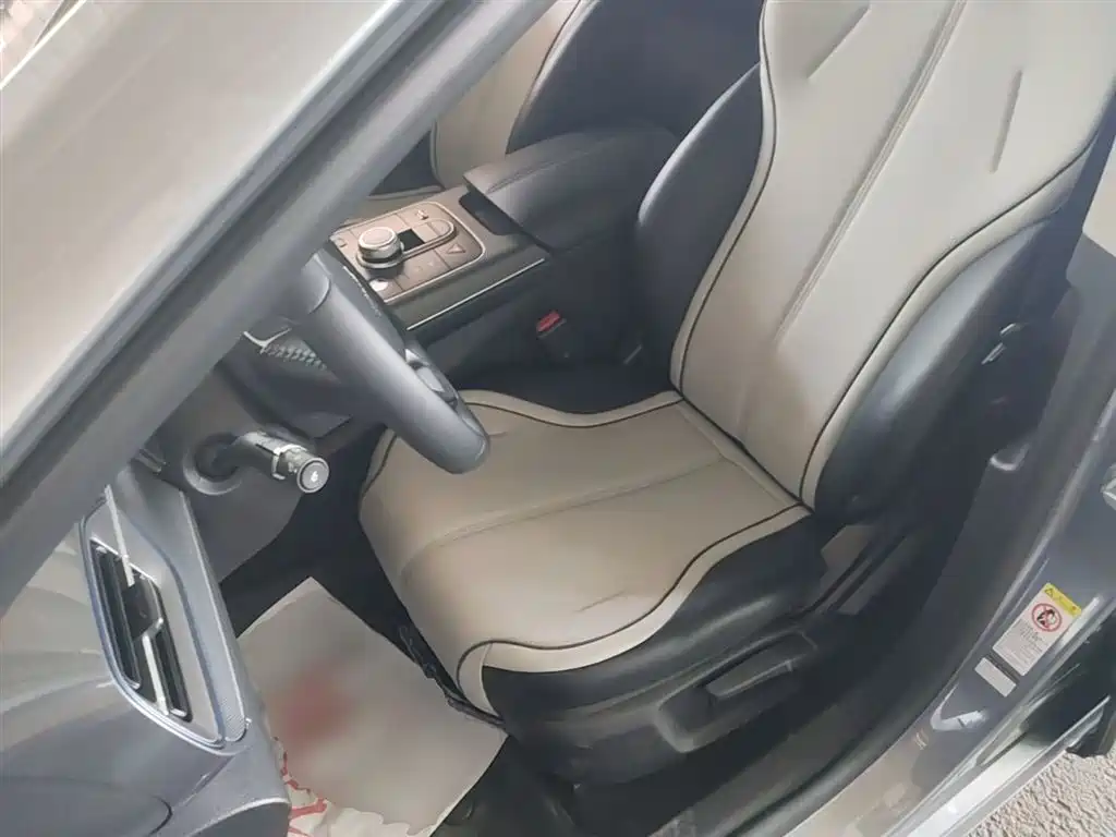 BYD Destroyer 05 2024 Glory Edition DM-i 55KM Luxury фото 15