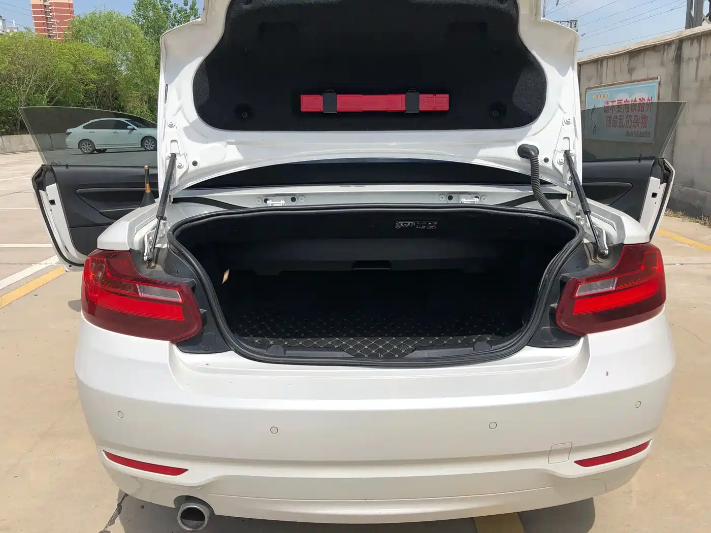 BMW 2 Series (Import) 2015 218i Convertible Coupe фото 14