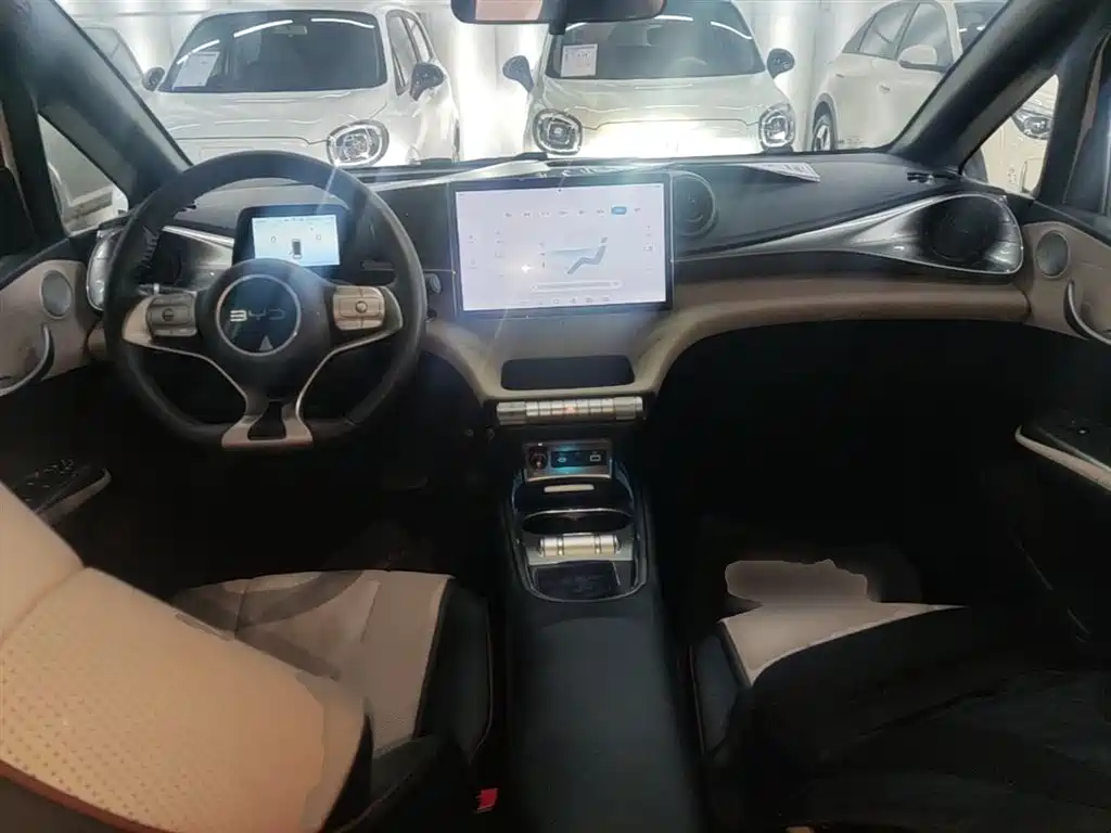BYD Dolphin 2024 Glory Edition 420km Freedom Edition фото 10