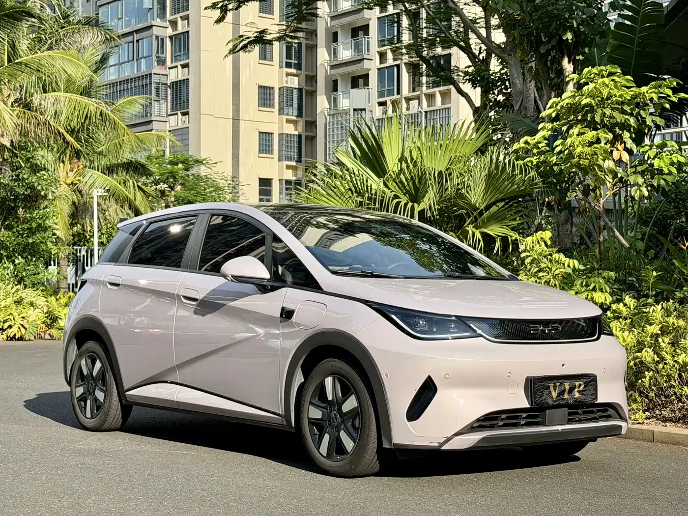 BYD Dolphin 2025 Smart Drive Edition 410km Fashion Version фото 12